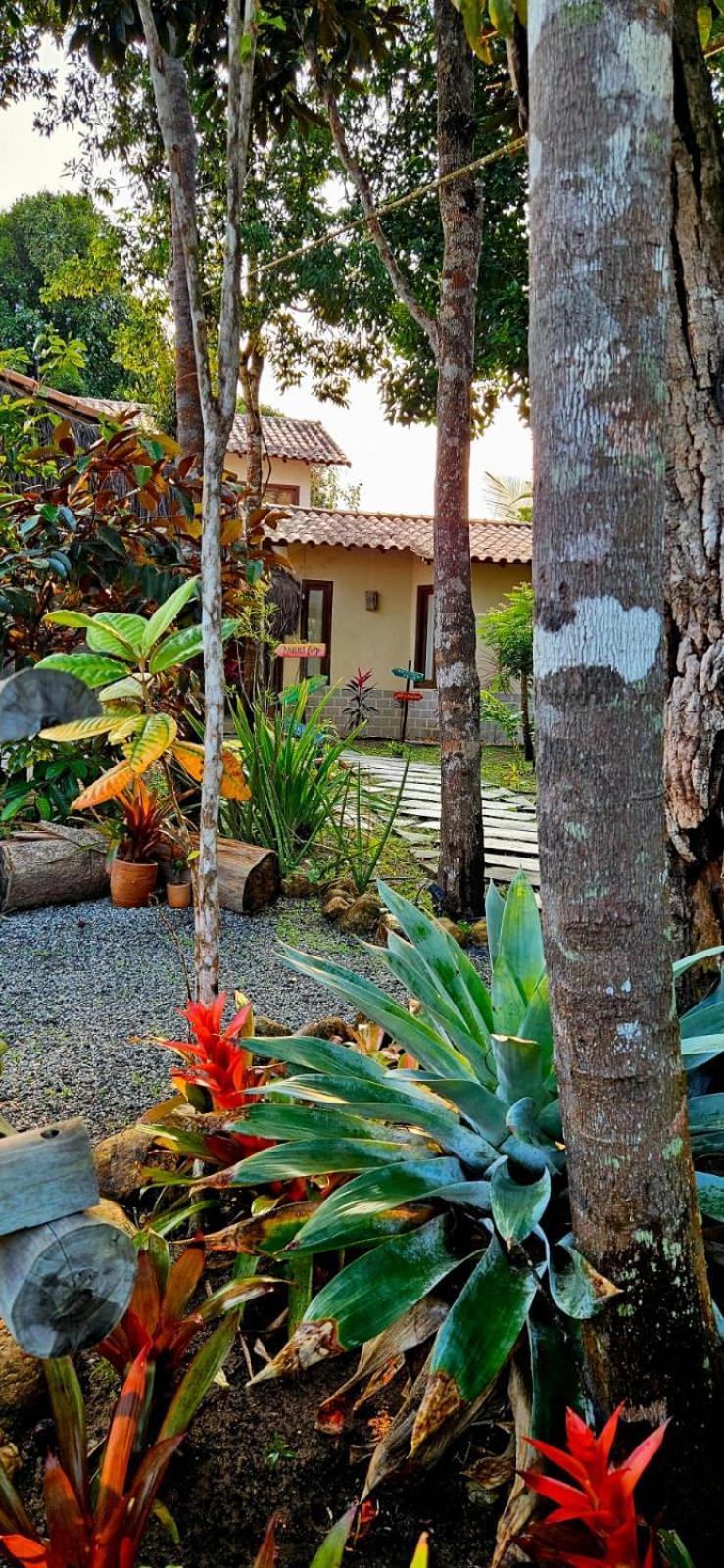 4 Elementos Guest House Porto Seguro Eksteriør billede