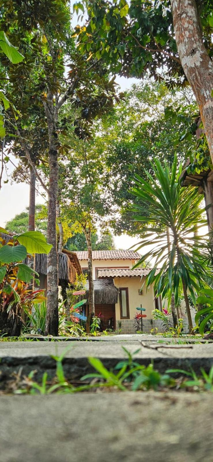4 Elementos Guest House Porto Seguro Eksteriør billede