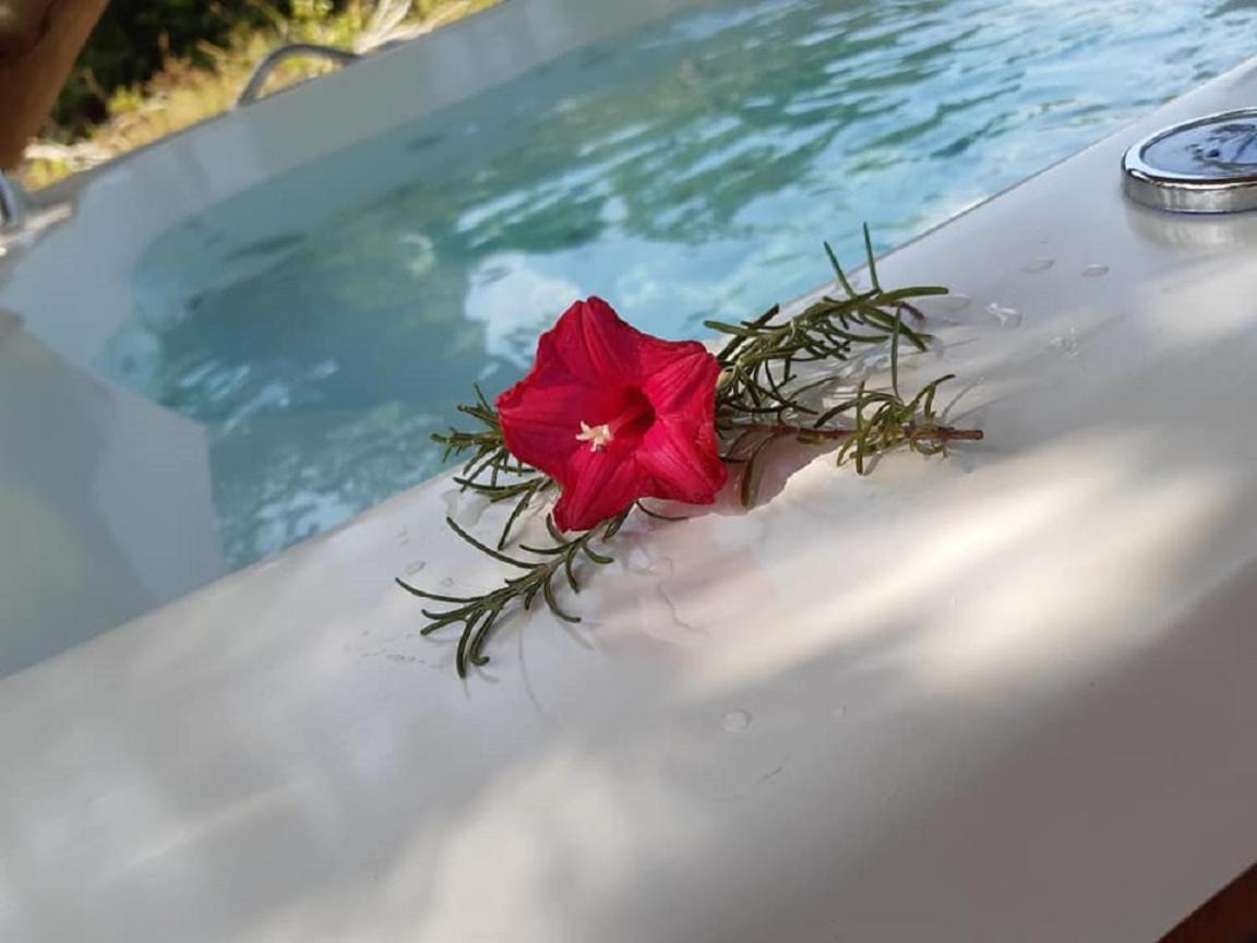 4 Elementos Guest House Porto Seguro Eksteriør billede